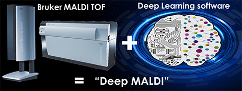 Bruker MALDI TOF
+Deep Learning software = Deep MALDI