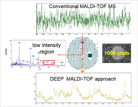 Deep MALDI with deep learning spectral processing