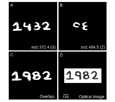 Fig3. DESI ̿   ̹. (A) Basic Violet 3, m/z 372  2D- ion image (B) Solvent Blue 2, m/z 484  2D-ion image (C) A B overlap (D)   ð ̹.